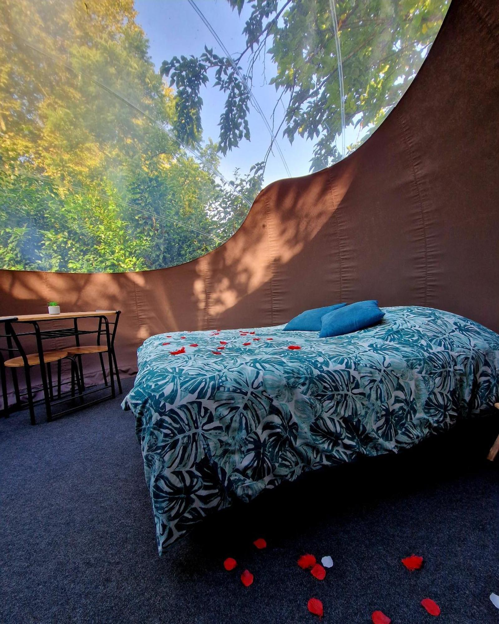 Les Nuits De Cassiopee Bed & Breakfast Sorde-lʼAbbaye Rom bilde